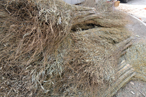 掃帚 日用雜品中的清潔利器